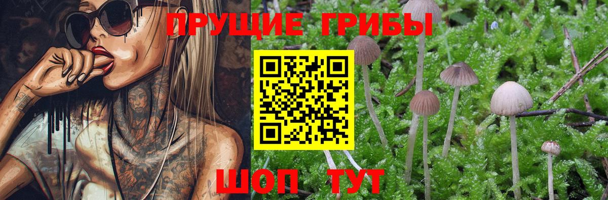 Лыткарино  Псилоцибиновые грибы прущие грибы  Вход с VPN 